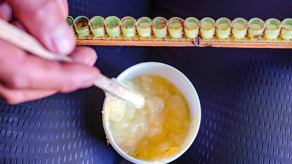نحوه مصرف ژل رویال، راهنمای جامع برای استفاده صحیح از این ماده ارزشمند